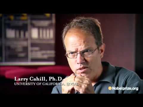 The Mystery of Memory, Documentary thumbnail