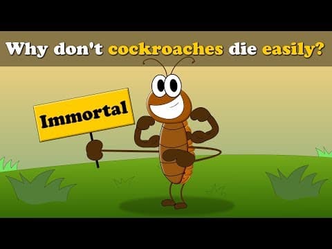 Why don't cockroaches die easily? + more videos | #aumsum #kids #science #education #children thumbnail