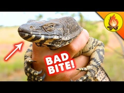 BITE of the LIZARD! thumbnail