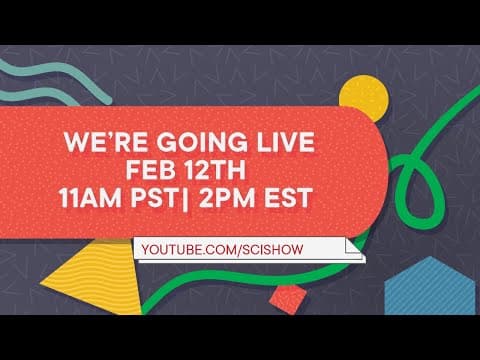 Hank Green Eats Great or Gross Cookies While Signing Postcards | SciShow Livestream thumbnail