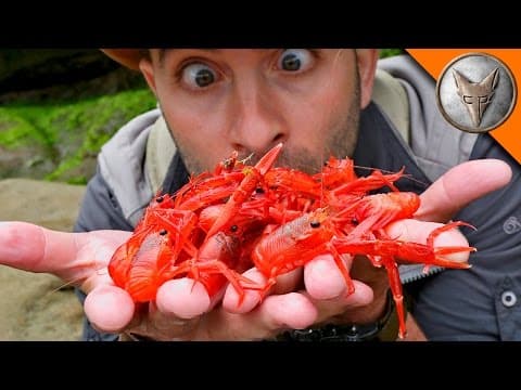 What Happens During a Red Crab Invasion on California Shores? thumbnail