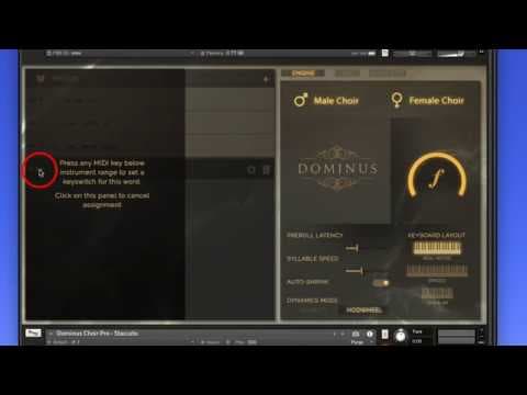 Dominus Choir Pro by Fluffy Audio thumbnail