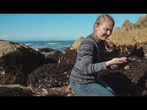 Stanford Undergrad Profile: Laura Anderson thumbnail