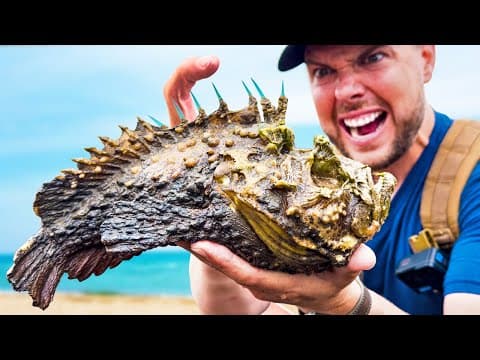 What Happens When You Get Stung by a Stonefish? thumbnail
