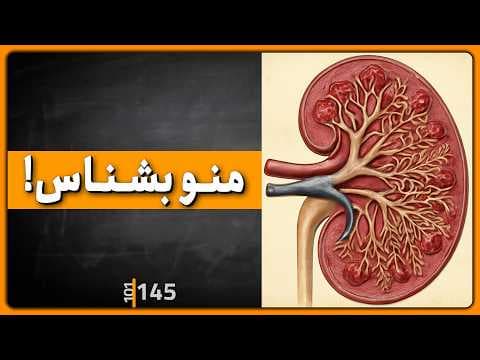 145 - فیلتر زندگی: همه چیز درباره عملکرد کلیه‌ها و نارسایی thumbnail