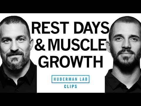 How to Know If You Need a Rest Day | Dr. Andy Galpin & Dr. Andrew Huberman thumbnail