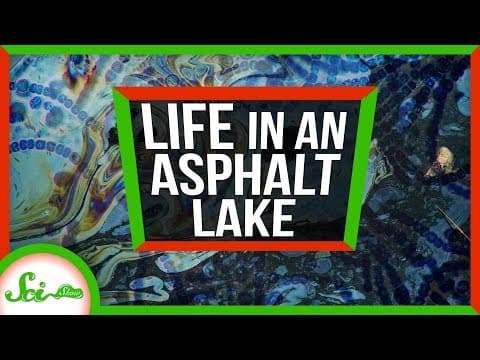 Secrets of Life from A Giant Pool of Asphalt | Weird Places: Pitch Lake, Trinidad thumbnail