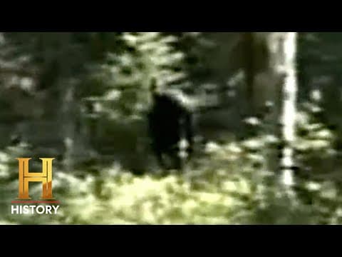 The Proof Is Out There: Bigfoot Footprints are ALL OVER the Blue Mountains (S3) | History thumbnail
