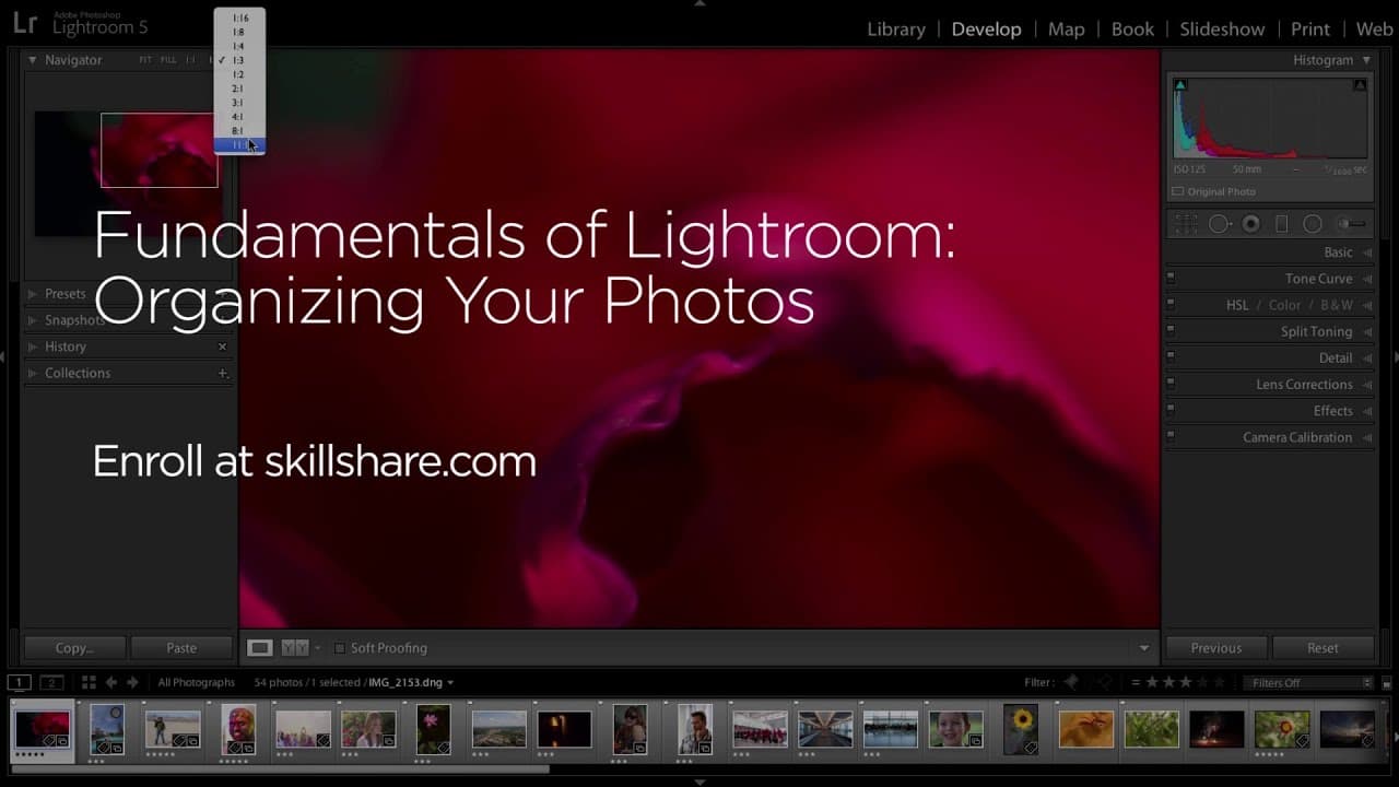 YouTube video player