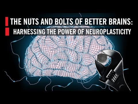 The Nuts and Bolts of Better Brains: Harnessing the Power of Neuroplasticity thumbnail