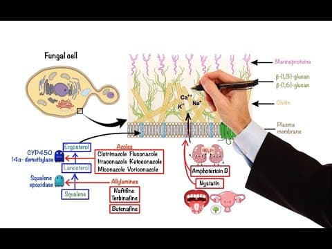 Pharmacology – ANTIFUNGAL DRUGS (MADE EASY) thumbnail