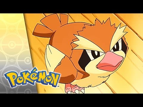 Fly Me to the Moon | POKÉMON FULL EPISODE 2 | Season 5 thumbnail