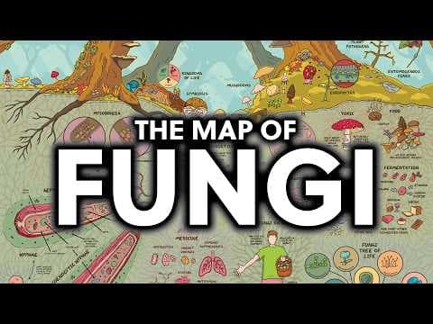 The Fascinating Map of Fungi thumbnail
