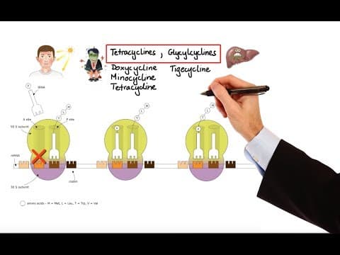 Pharmacology – ANTIBIOTICS – DNA, RNA, FOLIC ACID, PROTEIN SYNTHESIS INHIBITORS (MADE EASY) thumbnail