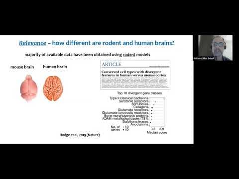 Preparation of Slice Cultures from the Adult Human Brain thumbnail