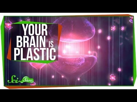 What Is Neural Plasticity and How Does It Work? thumbnail