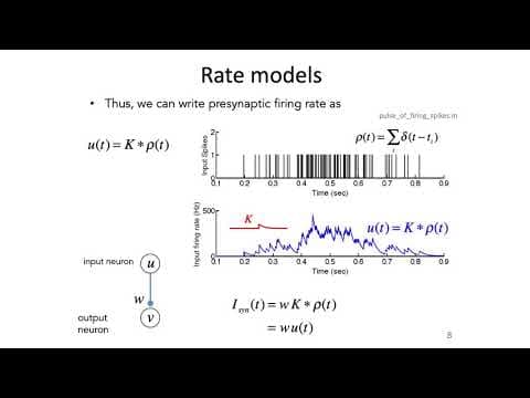 14: Rate Models and Perceptrons - Intro to Neural Computation thumbnail