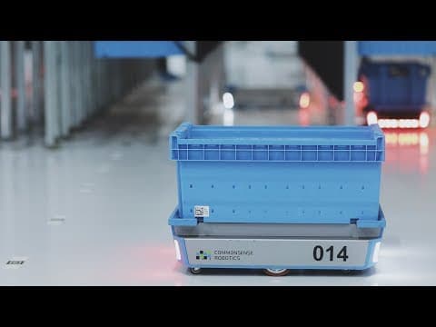 How Does Commonsense Robotics Transform Fulfillment? thumbnail