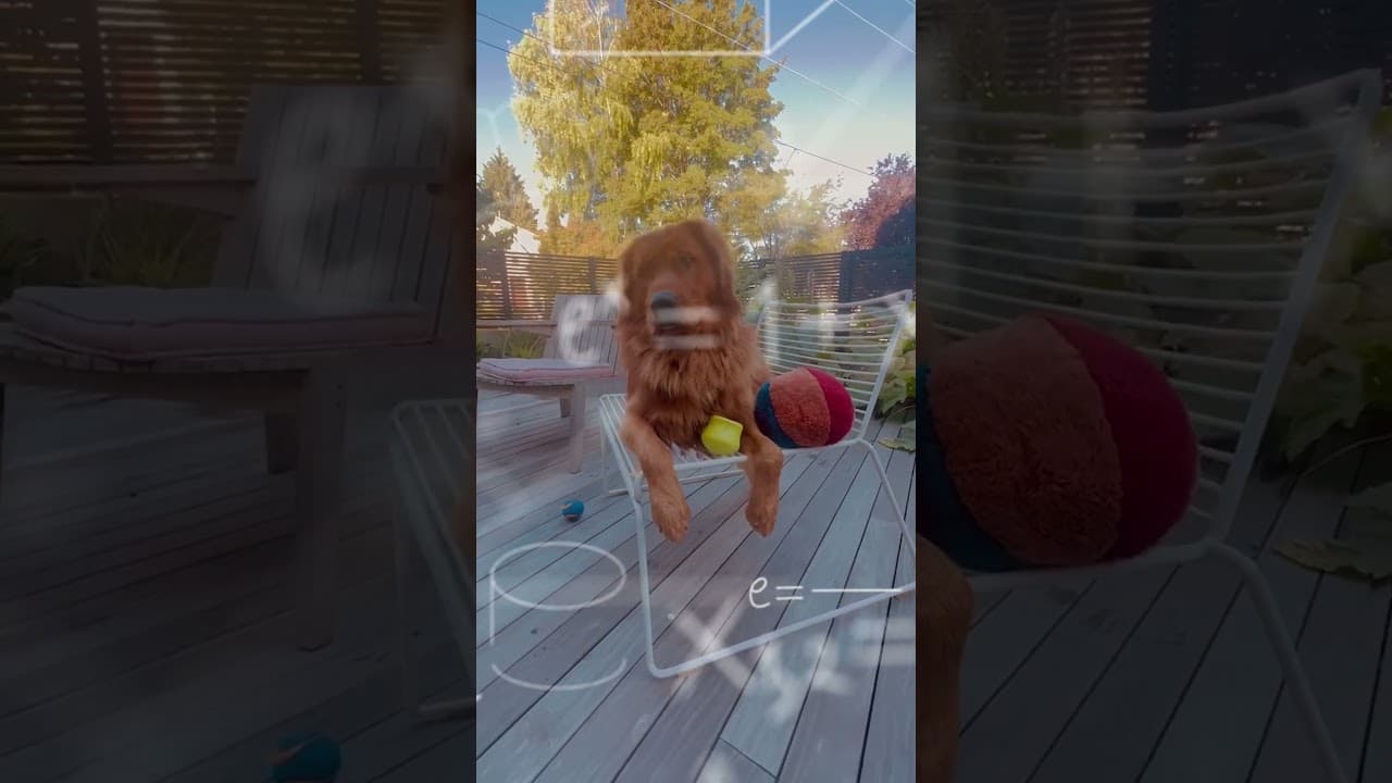 YouTube video player
