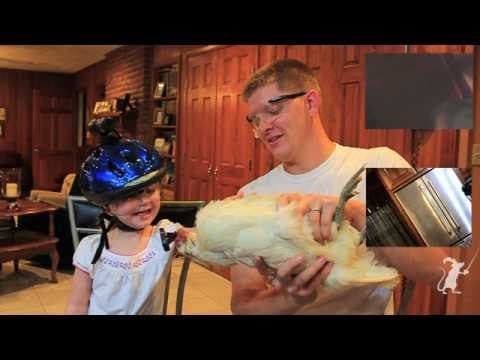 How Can a Chicken Stabilize a Camera? thumbnail