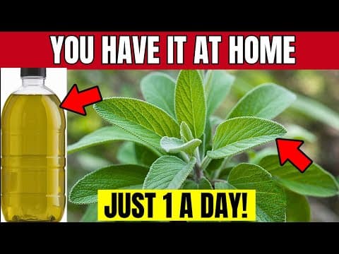 MIRACLE! 1 Leaf DESTROYS DIABETES, Bad Cholesterol and FAT BELLY! thumbnail