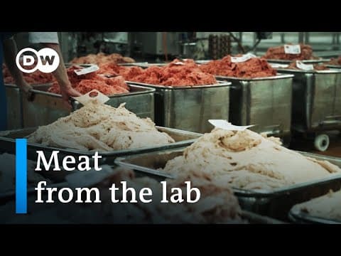 The world of meat substitutes | DW Documentary thumbnail