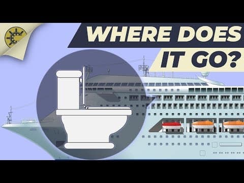 What happens after you flush the toilet on a cruise ship? thumbnail