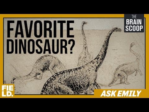 The Favorites Episode | Ask Emily thumbnail