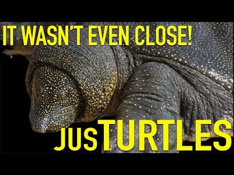 The BEST Pet Store I’ve EVER seen! thumbnail