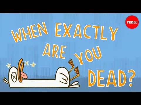 At what moment are you dead? - Randall Hayes thumbnail