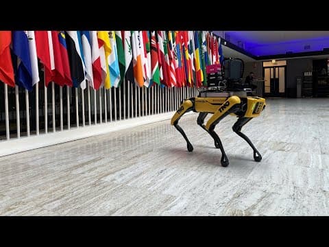 What's the future of global AI policy? thumbnail