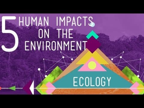 What Are 5 Major Human Impacts on the Environment? thumbnail
