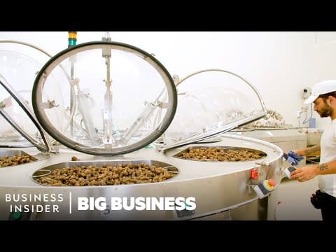 Why Snail Slime Is A $500 Million Industry | Big Business | Business Insider thumbnail
