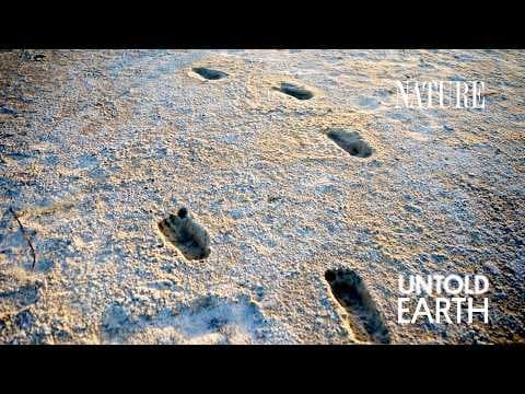 These Ancient Footprints Rewrite Human History thumbnail