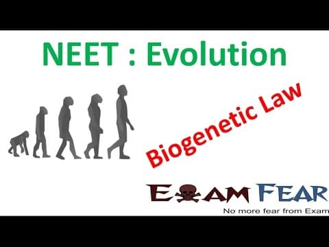 NEET Biology Evolution : Biogenetic Law thumbnail