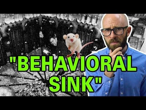 That Time a Guy Tried to Build a Utopia for Mice and it all Went to Hell thumbnail