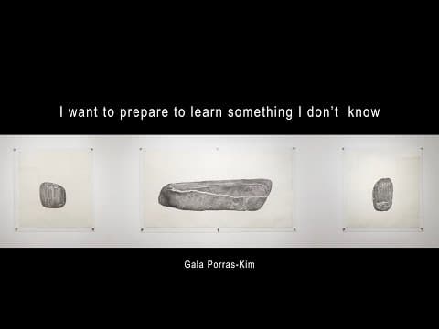 I Want to Prepare to Learn Something I Don't Know | Gala Porras-Kim || Radcliffe Institute thumbnail