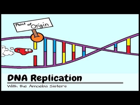 (OLD VIDEO) DNA Replication: The Cell's Extreme Team Sport thumbnail