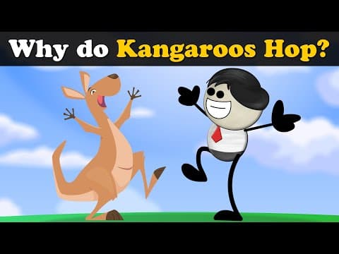 Why do Kangaroos Hop? + more videos | #aumsum #kids #science #education #children thumbnail