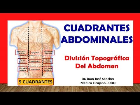 🥇 DIVISIÓN TOPOGRÁFICA DEL ABDOMEN, (Cuadrantes Abdominales). Fácil y Sencillo thumbnail