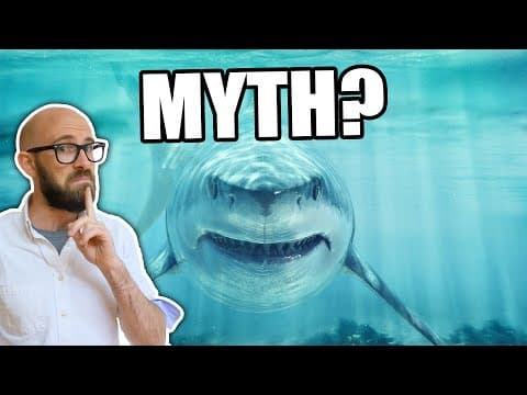 Will a Shark Really Die if it Stops Swimming? thumbnail