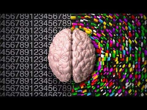The Democratic System in Our Heads thumbnail