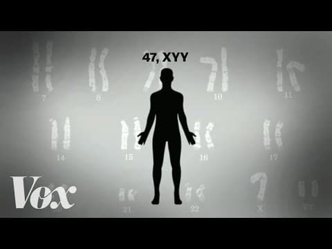 The myth of the "supermale" and the extra Y chromosome thumbnail