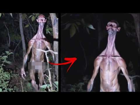 What Are These Terrifying Creatures Caught On Camera? Here are the Shocking Details! thumbnail