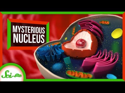 The Mysterious Origins of the Nucleus thumbnail
