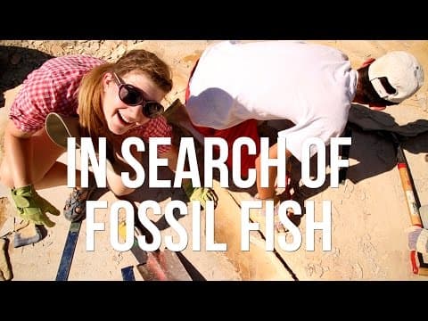 In Search of Fossil Fish thumbnail