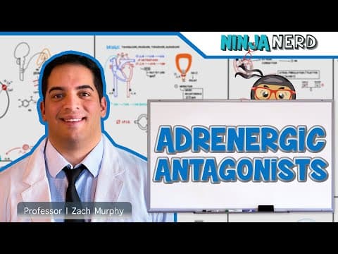 Autonomic Pharmacology | Adrenergic Antagonists thumbnail