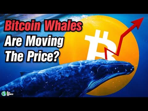 Bitcoin Whales Are Currently Moving The Price. thumbnail