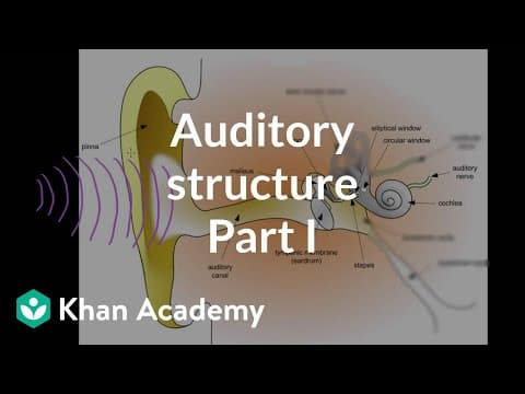 Auditory structure - part 1 | Processing the Environment | MCAT | Khan Academy thumbnail