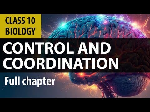 #controlandcoordination full chapter | cbse Biology | NCERT class 10 science chapter 7 thumbnail